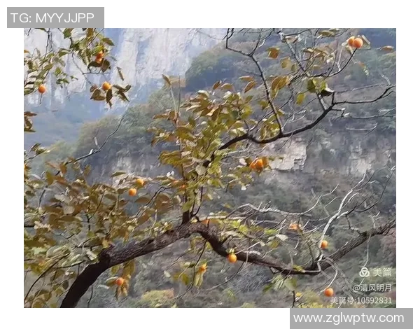 运动改变生活 发现健康与活力的无穷魅力 让身体与心灵共同飞跃